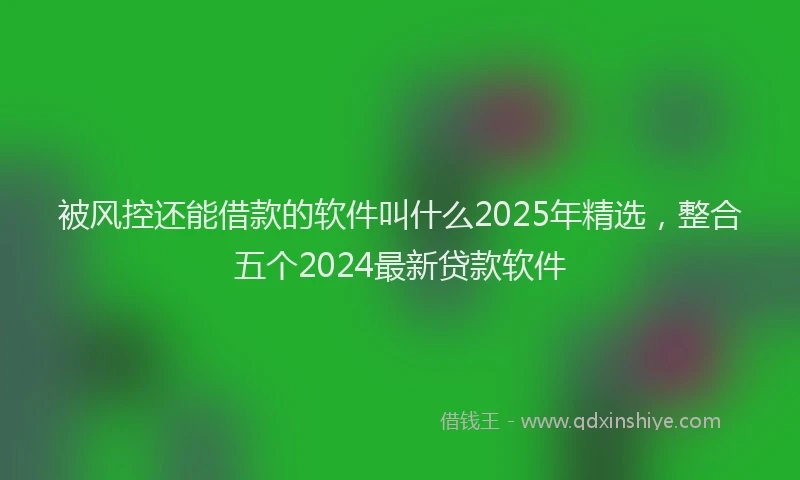 被风控还能借款的软件叫什么2025年精选，整合五个2024最新贷款软件