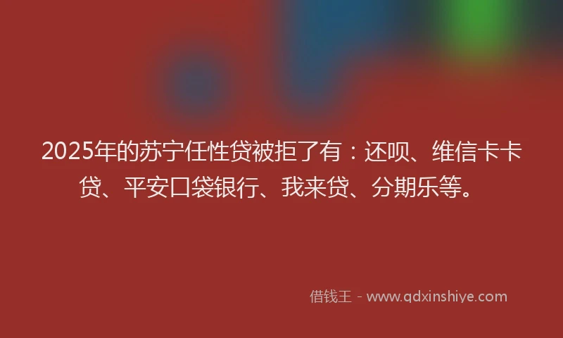 2025年的苏宁任性贷被拒了有：还呗、维信卡卡贷、平安口袋银行、我来贷、分期乐等。