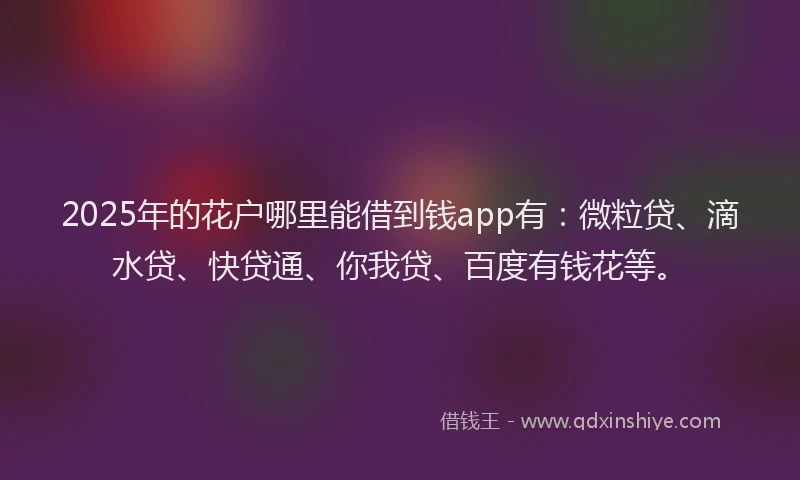 2025年的花户哪里能借到钱app有：微粒贷、滴水贷、快贷通、你我贷、百度有钱花等。