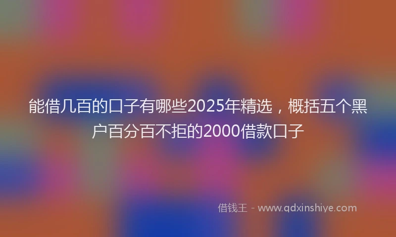 能借几百的口子有哪些2025年精选，概括五个黑户百分百不拒的2000借款口子