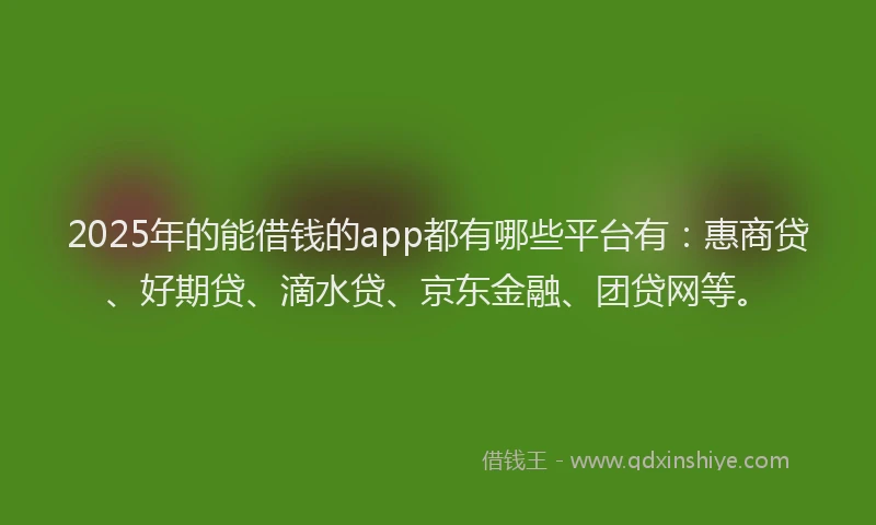 2025年的能借钱的app都有哪些平台有：惠商贷、好期贷、滴水贷、京东金融、团贷网等。