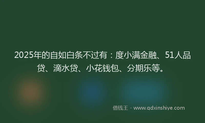 2025年的自如白条不过有：度小满金融、51人品贷、滴水贷、小花钱包、分期乐等。