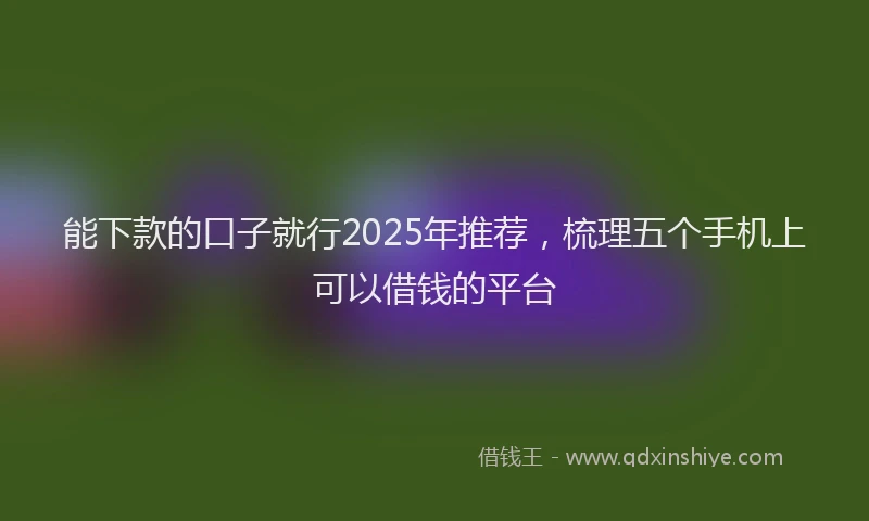 能下款的口子就行2025年推荐，梳理五个手机上可以借钱的平台