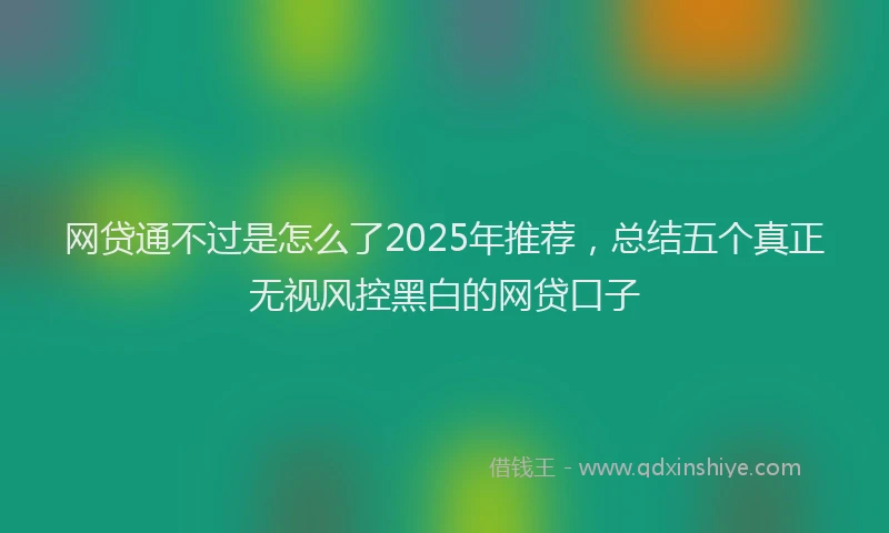 网贷通不过是怎么了2025年推荐，总结五个真正无视风控黑白的网贷口子