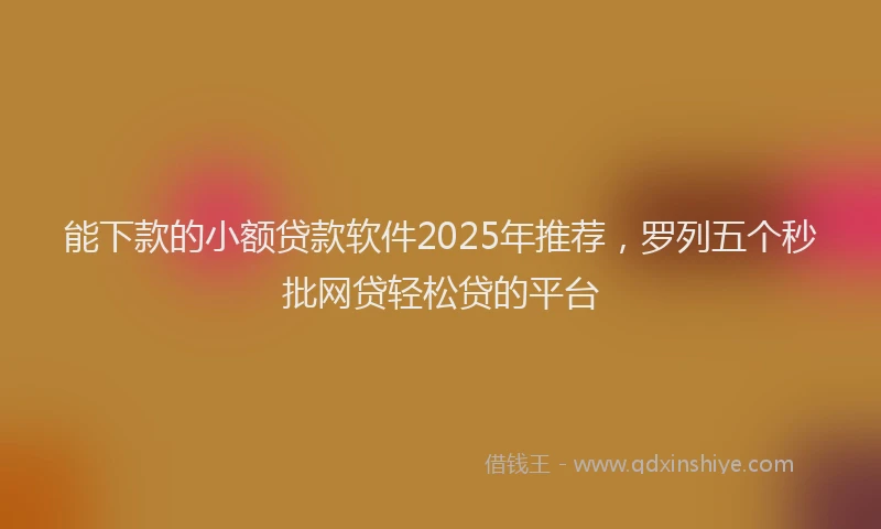 能下款的小额贷款软件2025年推荐，罗列五个秒批网贷轻松贷的平台