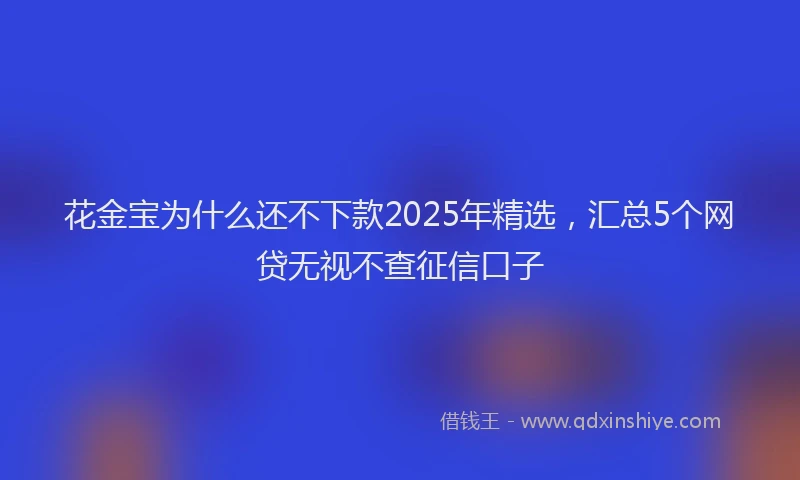 花金宝为什么还不下款2025年精选，汇总5个网贷无视不查征信口子