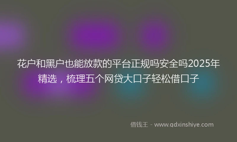 花户和黑户也能放款的平台正规吗安全吗2025年精选，梳理五个网贷大口子轻松借口子