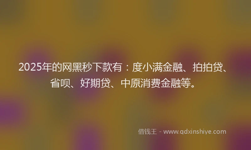 2025年的网黑秒下款有：度小满金融、拍拍贷、省呗、好期贷、中原消费金融等。