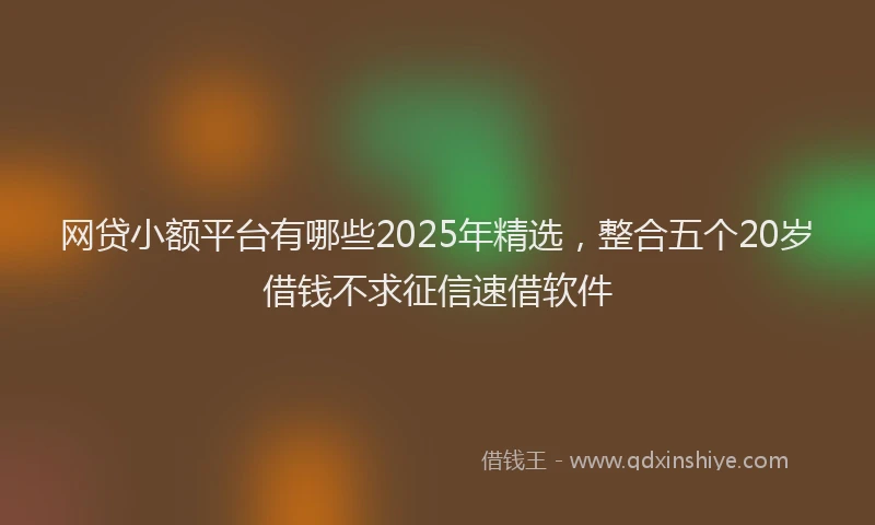 网贷小额平台有哪些2025年精选，整合五个20岁借钱不求征信速借软件
