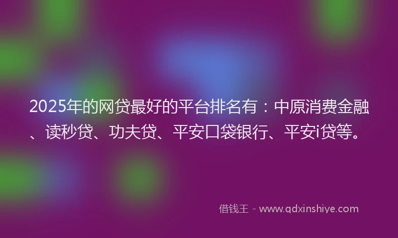 2025年的网贷最好的平台排名有：中原消费金融、读秒贷、功夫贷、平安口袋银行、平安i贷等。