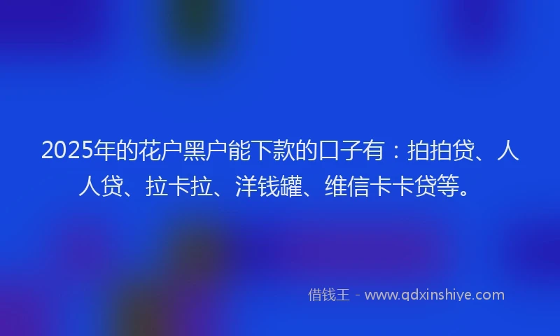 2025年的花户黑户能下款的口子有：拍拍贷、人人贷、拉卡拉、洋钱罐、维信卡卡贷等。