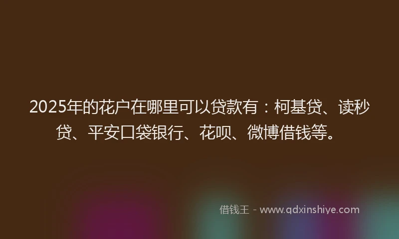 2025年的花户在哪里可以贷款有：柯基贷、读秒贷、平安口袋银行、花呗、微博借钱等。