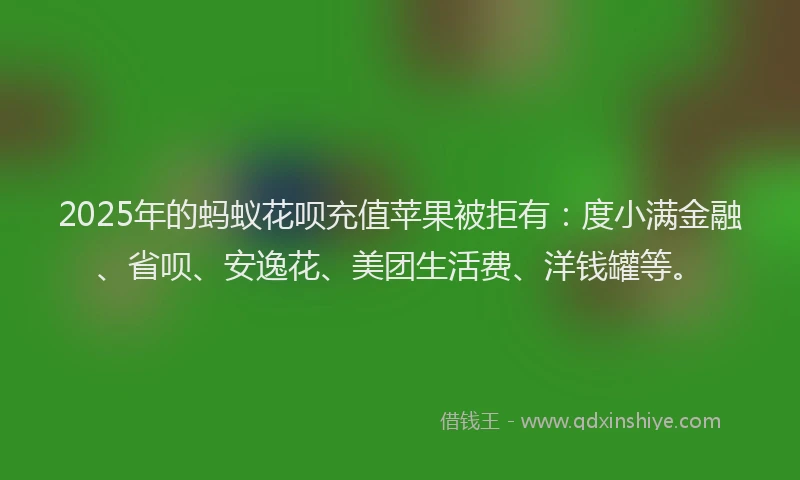2025年的蚂蚁花呗充值苹果被拒有：度小满金融、省呗、安逸花、美团生活费、洋钱罐等。