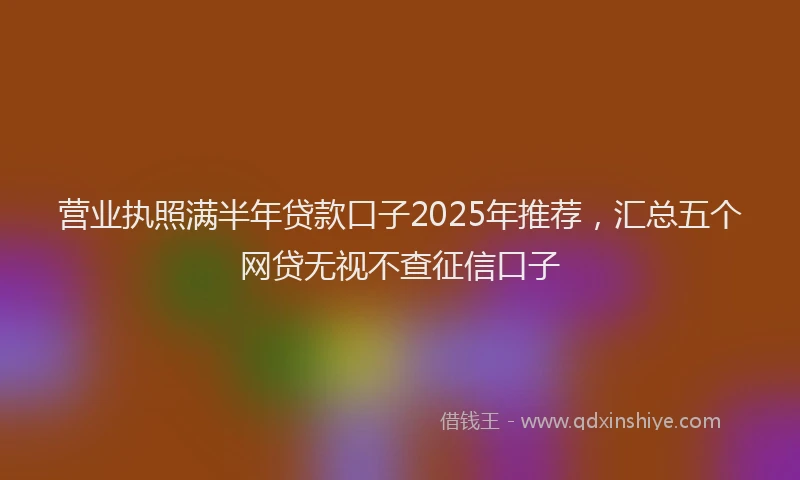 营业执照满半年贷款口子2025年推荐，汇总五个网贷无视不查征信口子