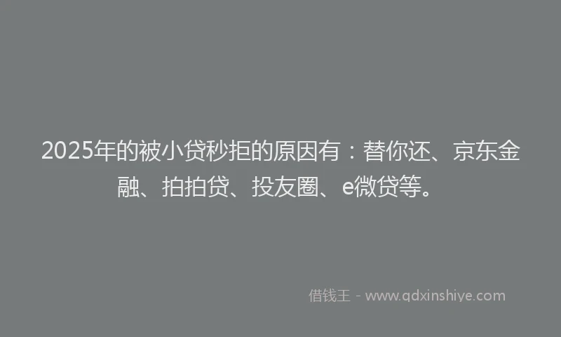 2025年的被小贷秒拒的原因有：替你还、京东金融、拍拍贷、投友圈、e微贷等。