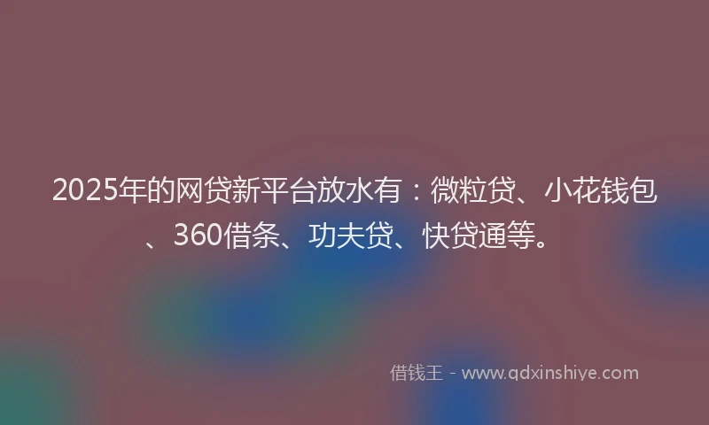 2025年的网贷新平台放水有：微粒贷、小花钱包、360借条、功夫贷、快贷通等。