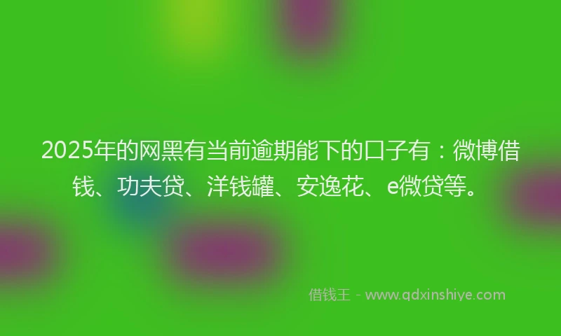 2025年的网黑有当前逾期能下的口子有：微博借钱、功夫贷、洋钱罐、安逸花、e微贷等。