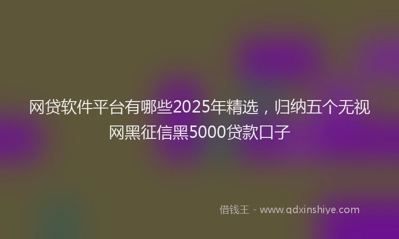 网贷软件平台有哪些2025年精选，归纳五个无视网黑征信黑5000贷款口子
