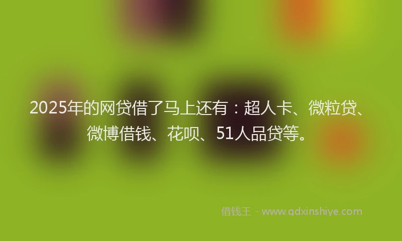 2025年的网贷借了马上还有：超人卡、微粒贷、微博借钱、花呗、51人品贷等。