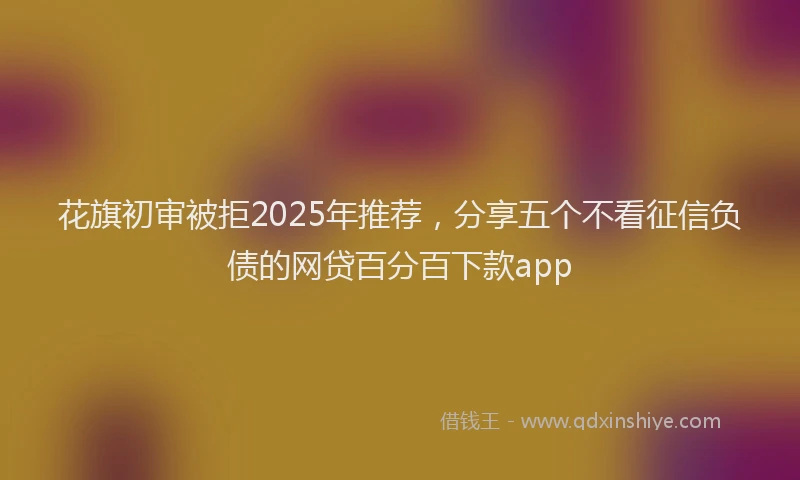花旗初审被拒2025年推荐，分享五个不看征信负债的网贷百分百下款app