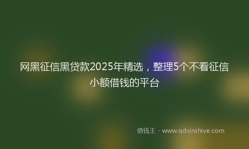 网黑征信黑贷款2025年精选，整理5个不看征信小额借钱的平台