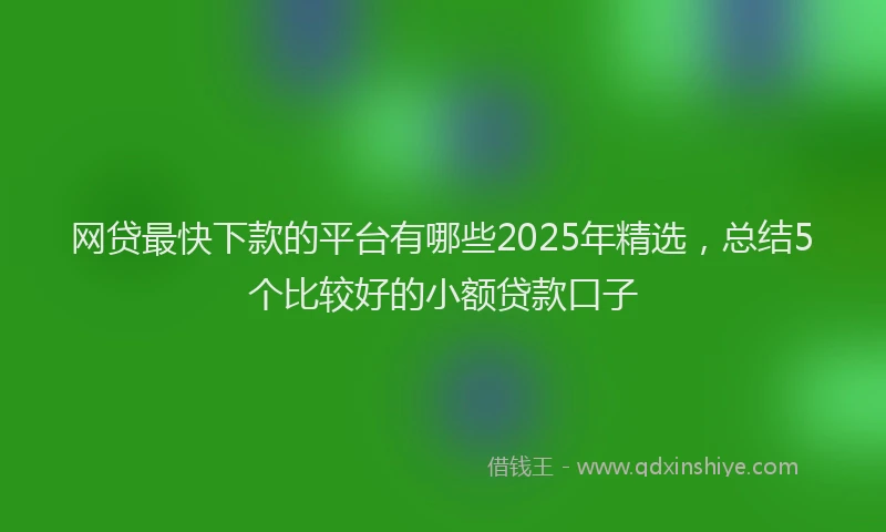 网贷最快下款的平台有哪些2025年精选，总结5个比较好的小额贷款口子