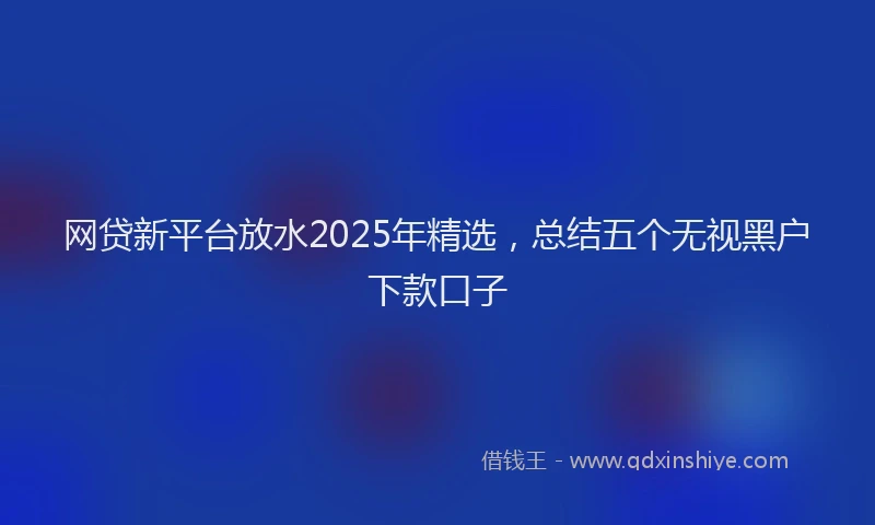 网贷新平台放水2025年精选，总结五个无视黑户下款口子