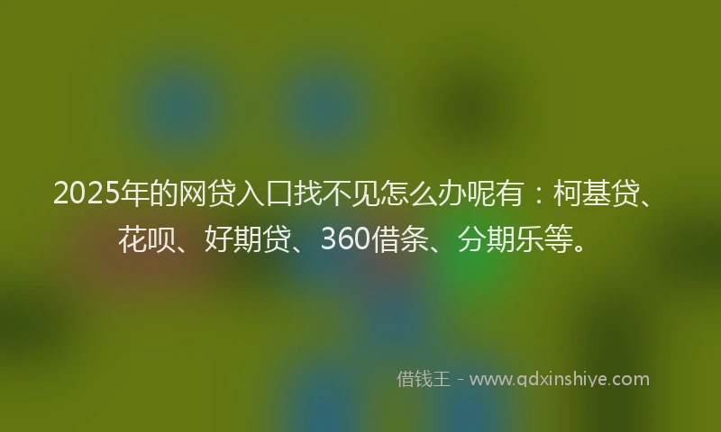 2025年的网贷入口找不见怎么办呢有：柯基贷、花呗、好期贷、360借条、分期乐等。