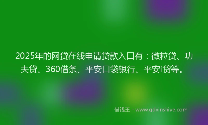 2025年的网贷在线申请贷款入口有：微粒贷、功夫贷、360借条、平安口袋银行、平安i贷等。