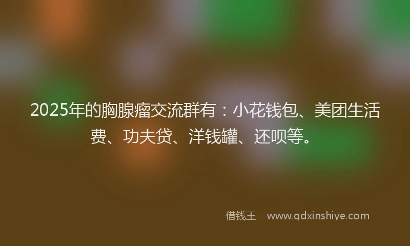 2025年的胸腺瘤交流群有：小花钱包、美团生活费、功夫贷、洋钱罐、还呗等。