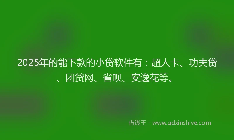 2025年的能下款的小贷软件有：超人卡、功夫贷、团贷网、省呗、安逸花等。