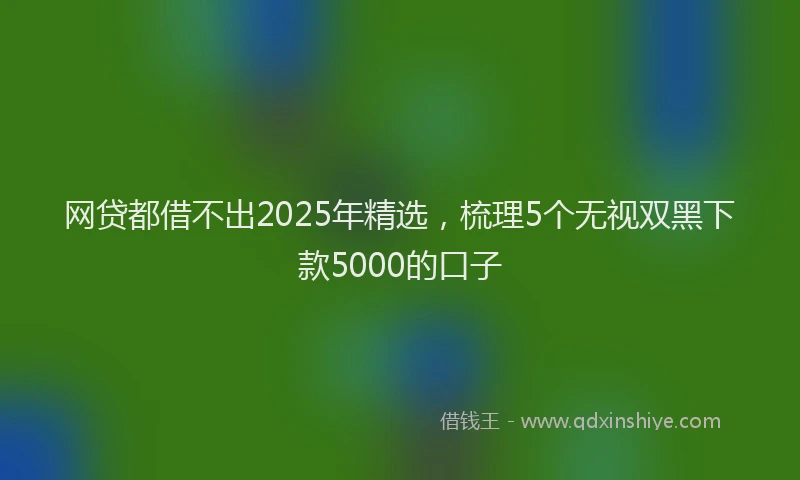 网贷都借不出2025年精选，梳理5个无视双黑下款5000的口子