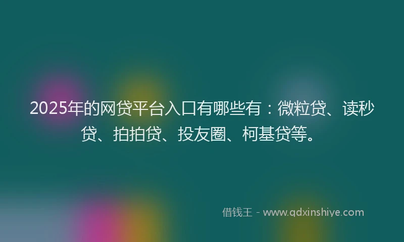 2025年的网贷平台入口有哪些有：微粒贷、读秒贷、拍拍贷、投友圈、柯基贷等。