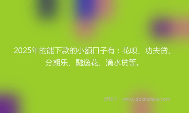 2025年的能下款的小额口子有：花呗、功夫贷、分期乐、融逸花、滴水贷等。
