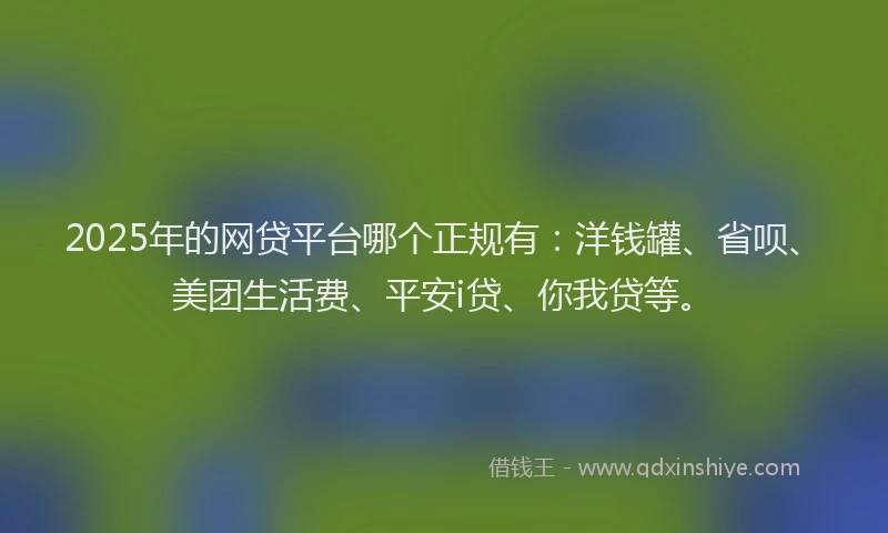2025年的网贷平台哪个正规有：洋钱罐、省呗、美团生活费、平安i贷、你我贷等。