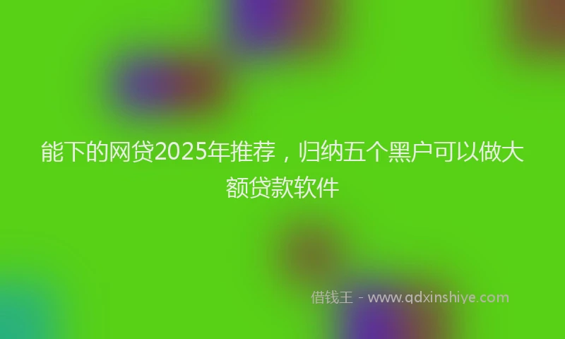 能下的网贷2025年推荐，归纳五个黑户可以做大额贷款软件