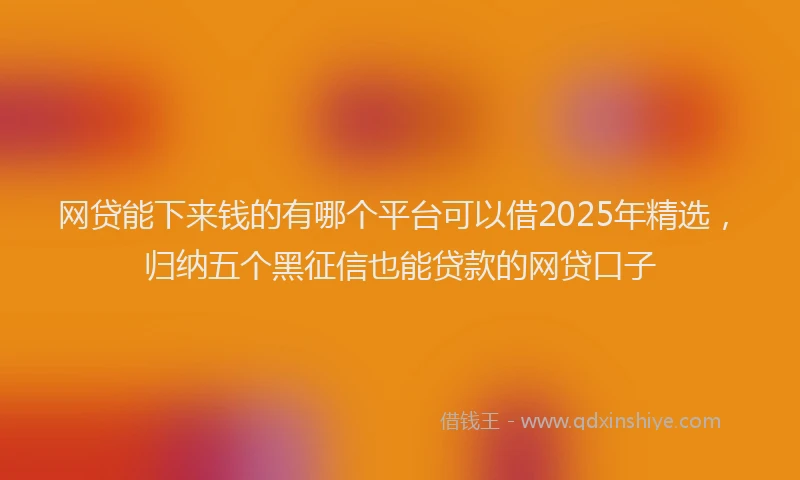 网贷能下来钱的有哪个平台可以借2025年精选，归纳五个黑征信也能贷款的网贷口子