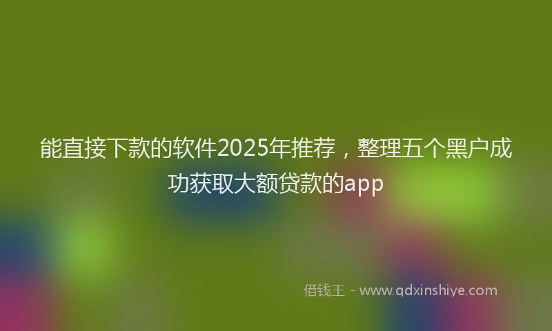 能直接下款的软件2025年推荐，整理五个黑户成功获取大额贷款的app