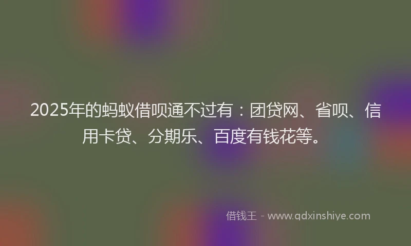 2025年的蚂蚁借呗通不过有：团贷网、省呗、信用卡贷、分期乐、百度有钱花等。