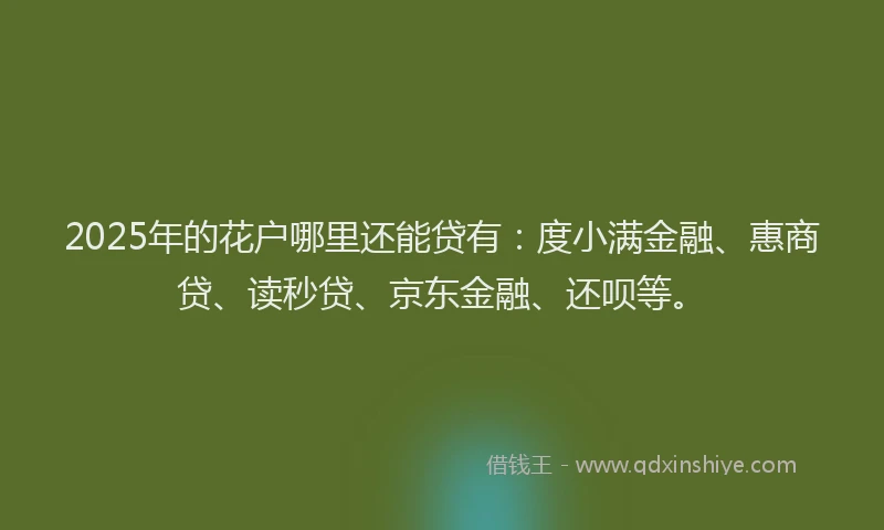 2025年的花户哪里还能贷有：度小满金融、惠商贷、读秒贷、京东金融、还呗等。