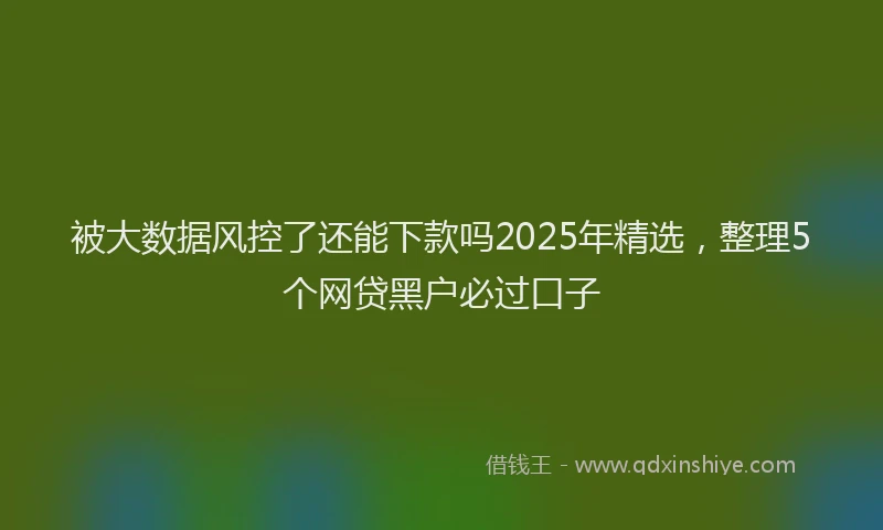 被大数据风控了还能下款吗2025年精选，整理5个网贷黑户必过口子