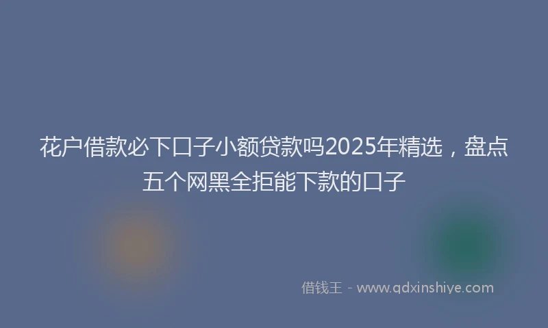 花户借款必下口子小额贷款吗2025年精选，盘点五个网黑全拒能下款的口子