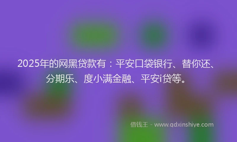 2025年的网黑贷款有：平安口袋银行、替你还、分期乐、度小满金融、平安i贷等。