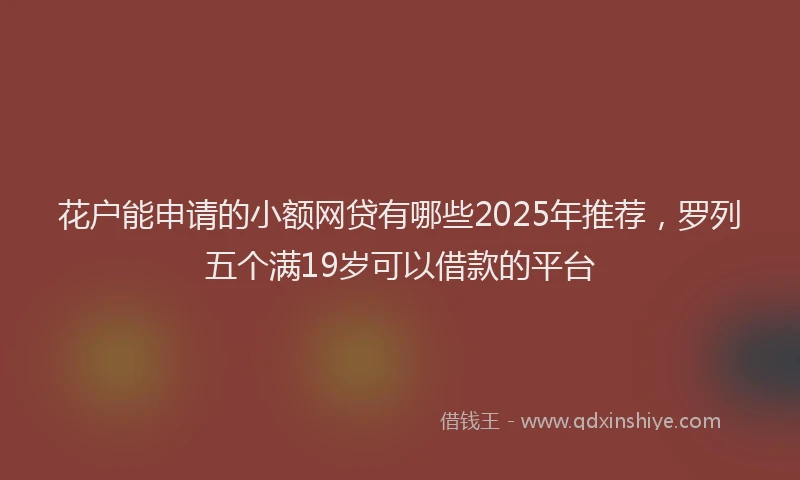 花户能申请的小额网贷有哪些2025年推荐，罗列五个满19岁可以借款的平台
