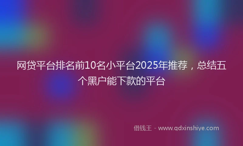 网贷平台排名前10名小平台2025年推荐，总结五个黑户能下款的平台