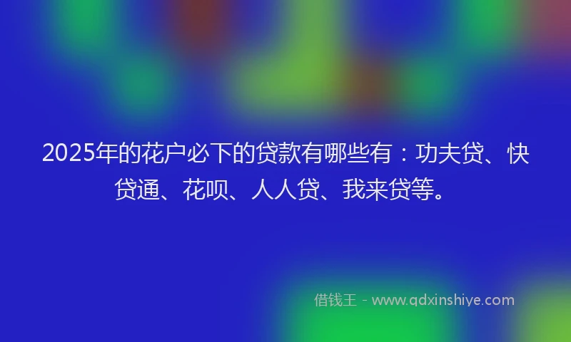 2025年的花户必下的贷款有哪些有：功夫贷、快贷通、花呗、人人贷、我来贷等。