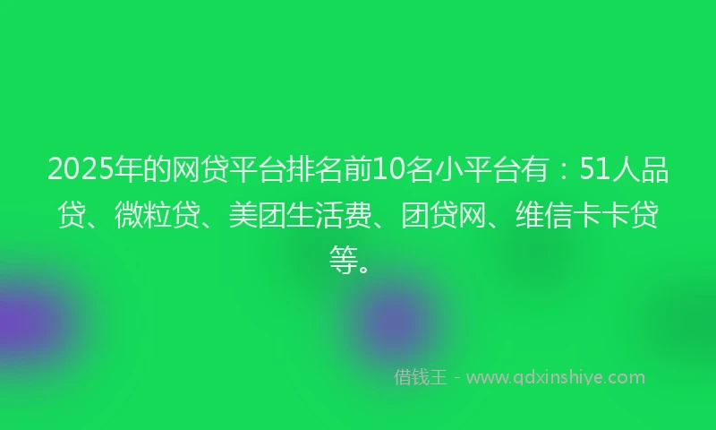 2025年的网贷平台排名前10名小平台有：51人品贷、微粒贷、美团生活费、团贷网、维信卡卡贷等。