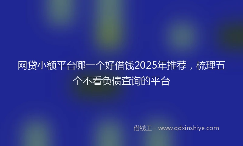 网贷小额平台哪一个好借钱2025年推荐，梳理五个不看负债查询的平台