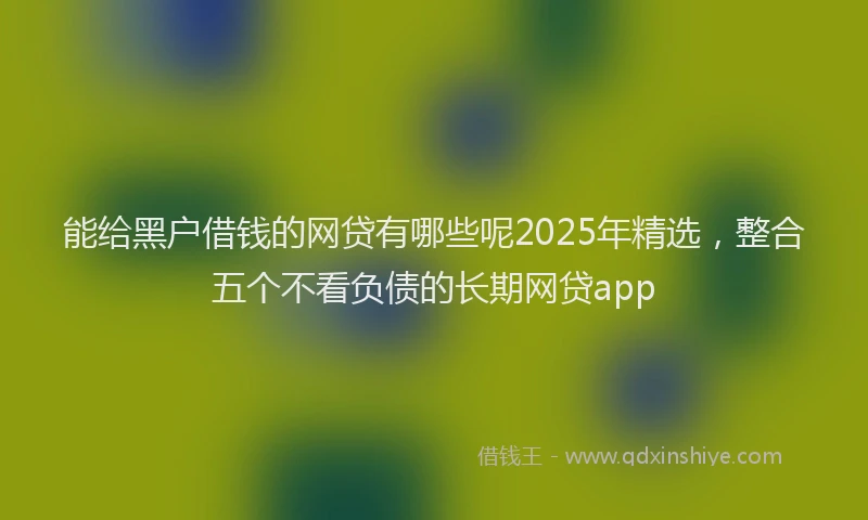 能给黑户借钱的网贷有哪些呢2025年精选，整合五个不看负债的长期网贷app
