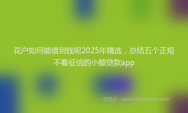 花户如何能借到钱呢2025年精选，总结五个正规不看征信的小额贷款app